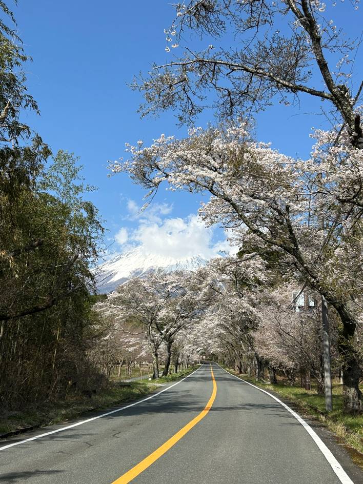 道路と木

AI によって生成されたコンテンツは間違っている可能性があります。